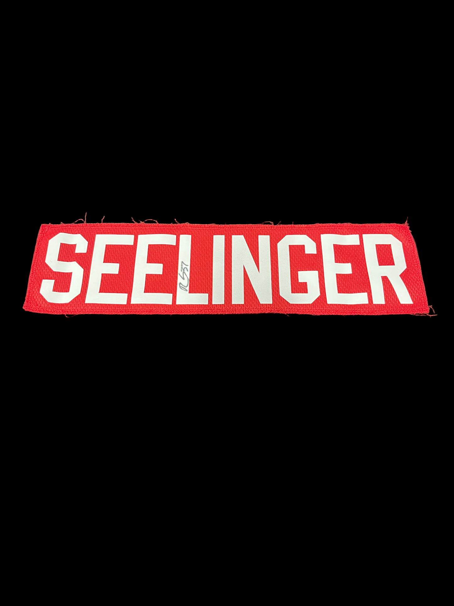 Name Plate- Ryan Seelinger Signed