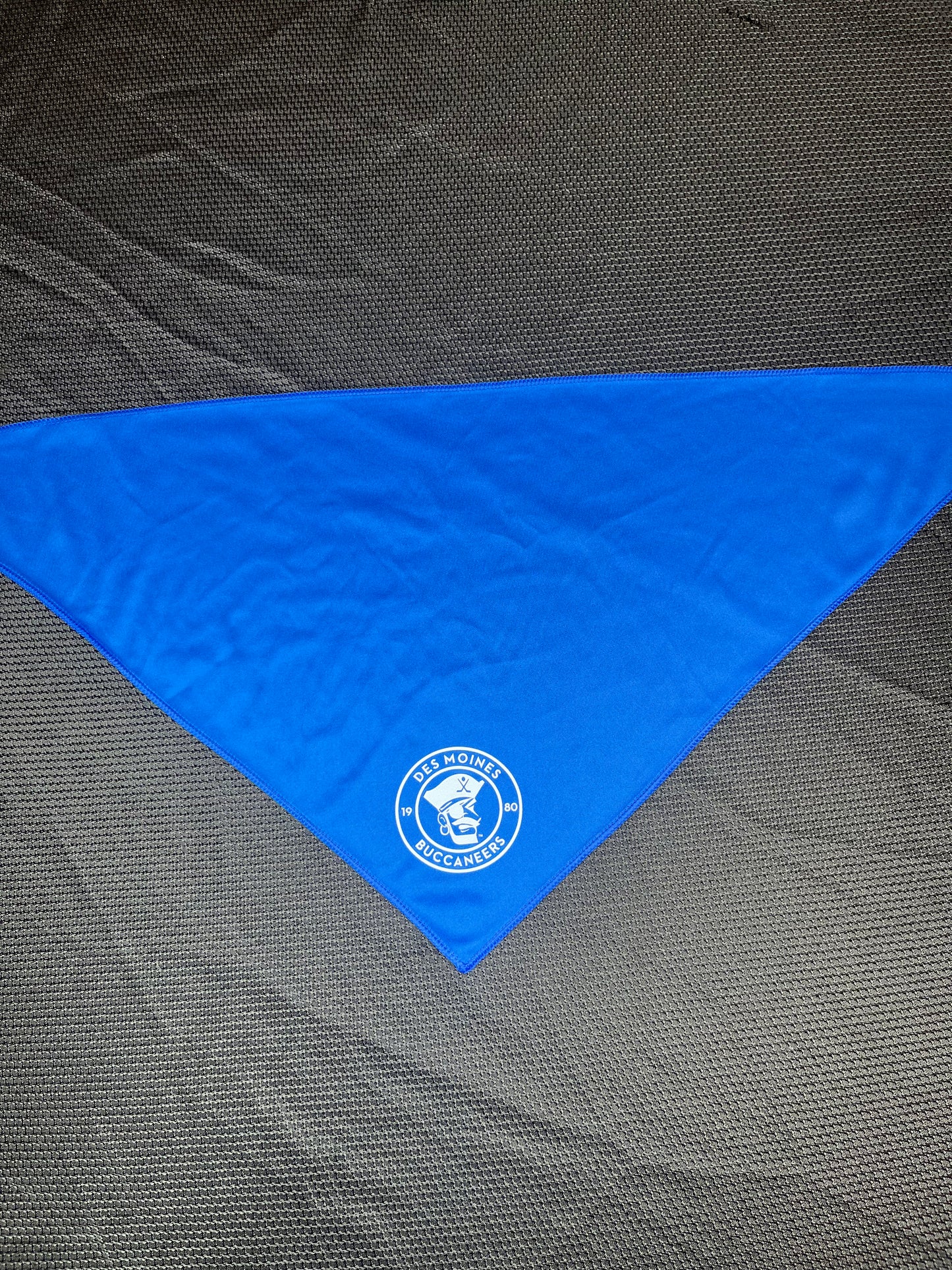 Bandana- Blue Buccaneers