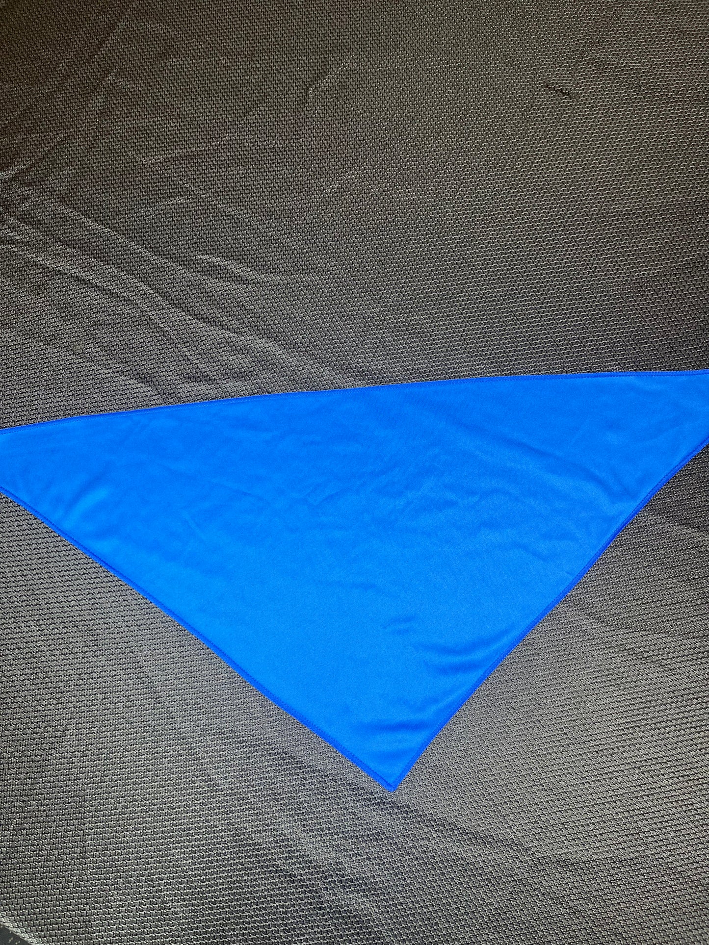 Bandana- Blue Buccaneers