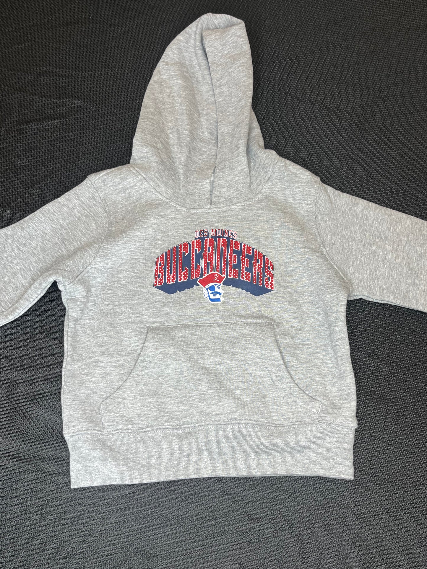 Hoodie- Toddler Gray Des Moines Buccaneers