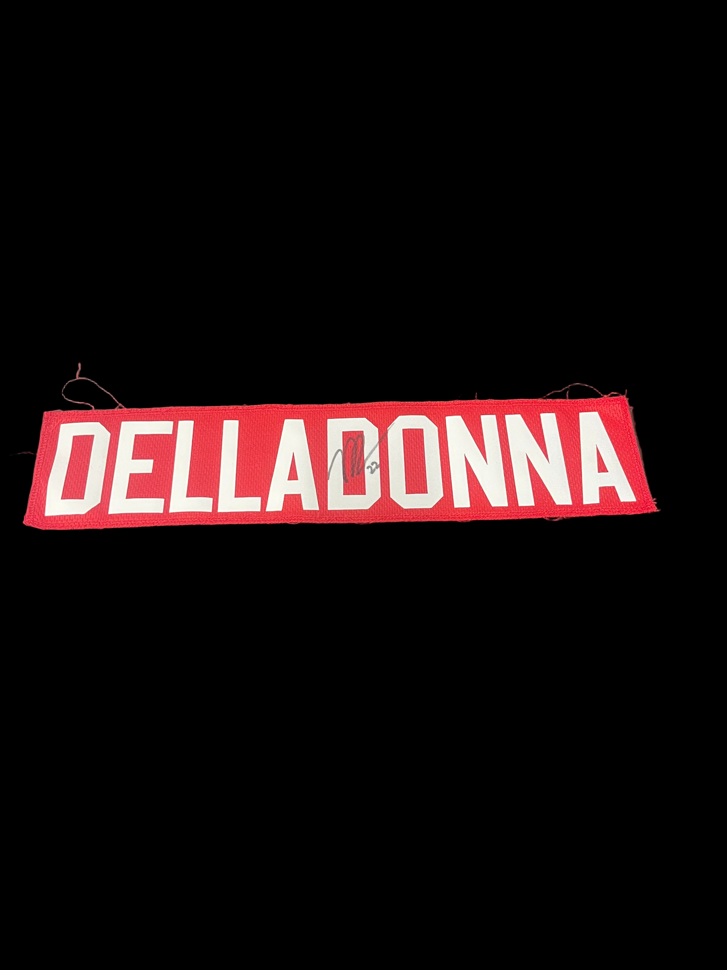 Name Plate- Nathan Delladonna Signed